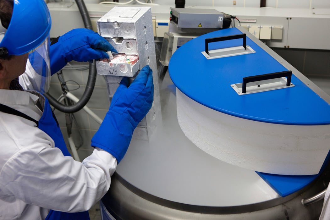 Dr. Bastuba Welcomes Applicants for a Two-Week Externship Program