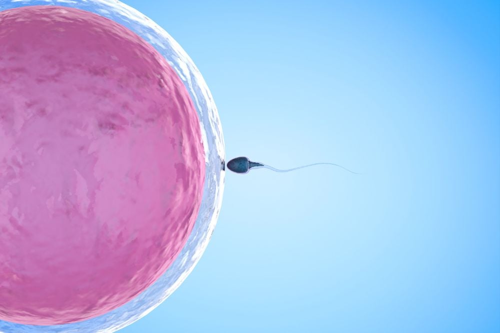 How Important Is Sperm Quality During IVF Treatment?