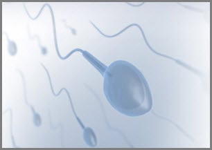 Overcoming No Sperm Count:  Azoospermia