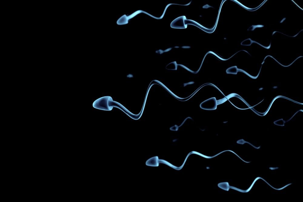 Understanding Sperm Disorders & Male Infertility