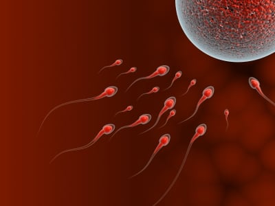 What Can Testing Tell You About Male Factor Infertility?